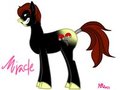 MIRACLE: my little OC by hyacinthblack