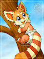 tree climbing