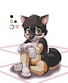 Commission for Fluitaire