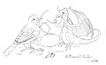 Inktober 2017 - 26