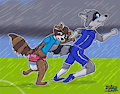 Rabid Raccoon / Timothy Commission