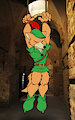 Robin Hood