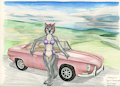 VW Series #11 by Alister