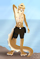 Otter Otter Otter