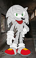 Spoopy Sonic