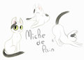 Miche de pain by Honowyn