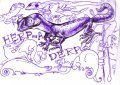 Geckos and Chameleons 