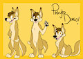 Pakyto Ref 2 by Pakyto