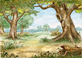 Hundred Acre Wood