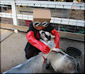 Goat Kisses