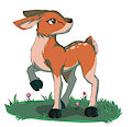 AT: Little Deer
