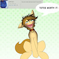 ask silvy 41 by SilverMoriko