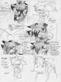 Sonadow- ALR pg 38