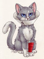 Cone of Shame (Cat perspective)
