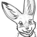 Miss Snowy by Drachmoore