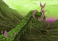 The End Of All Things