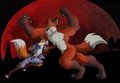 Jason Werefox vs. Werefox Aries