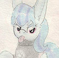 Edgy Pony