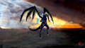 Soaring