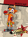 Sonic Forces: Madcap