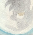 Circle