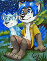 MFF badge: Acco