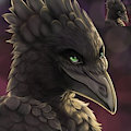 Gift icon from victorianothechief