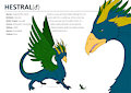 Commission - Hestral Character Sheet by besonik