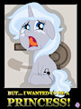 Callcenter Pony