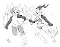 Training