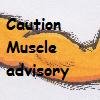 Muscle Terry