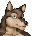 Canine Casino Playing Cards Picture 02 by DreamAndNightmare