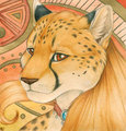 Golden Cheetah