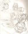 sketch - Muzzle angle and pose practice.  by Corootai