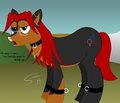 My Little Sex Toy by ShayFeral