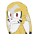 Animation profil pic