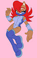 Ninja Sally by fazzfuck