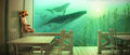 Visitors