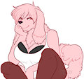 CarrieSoftpaws