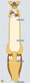 Project Longboy
