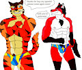 a fox buy my speedo (colored)