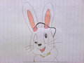 Floppy Rabbit