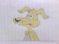 Shifty Dingo