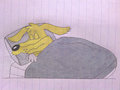 Shifty Dingo Sleeping