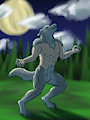 Werewolf by NenanaUso