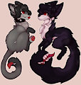 Noxik & Eva