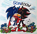 Hedgehogs love by ShadycDemon