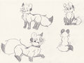 Fox