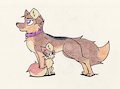 Dog and Fox