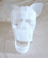 WIP first attempt framework head front by furtailed